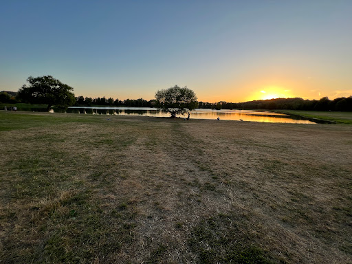 Satzdorfer See - Thumbnail