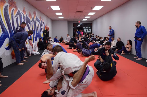 Undisputed | Green Valley Gym | Jiu Jitsu - Boxing - Kickboxing - Fitness - Thumbnail