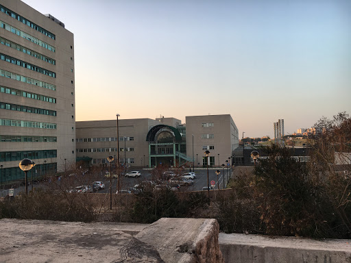 Facoltà di Medicina e Chirurgia - Cattedra di Genetica - Thumbnail