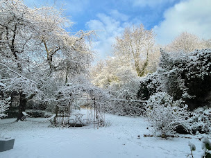 Photo n°17 de Evergreen Guest House & Café à Vernon (Magasin de thé)