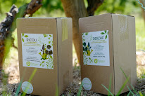 Rézomes à Vindry-sur-Turdine