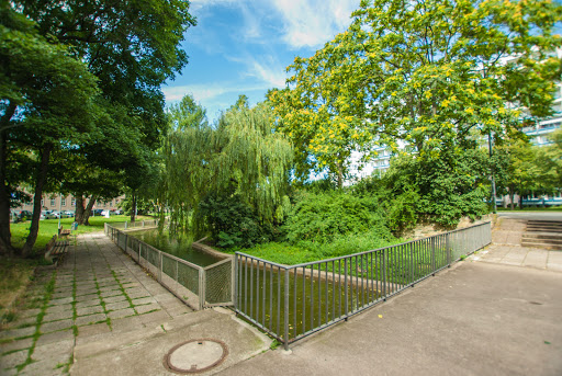 Entchenteich - Visual