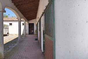 Photo n°7 de Clinique vétérinaire de Camargue à Lunel (Clinique vétérinaire)