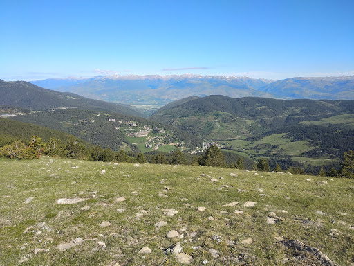 Pla d'anella - Visual
