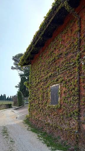Celeste del Garda - Thumbnail
