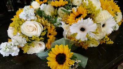 Photos of Urban Bloom