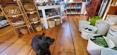 WOOF! WOOF! Pet Boutique & Biscuit Bar