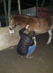 Photo n°20 de Harmonie et Bien-être association à Hem (Centre de bien-être)