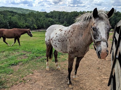 Chestatee Wildlife Preserve & Zoo