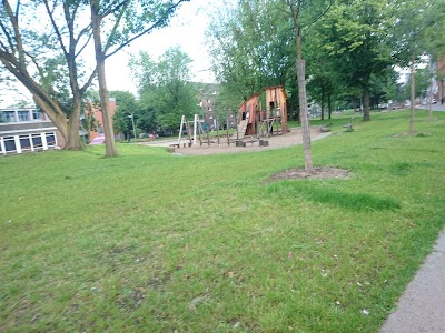 university