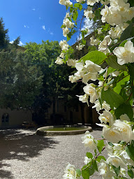 Photo n°11 de Lycée du Sacré-Cœur à Aix-en-Provence (Établissement d'enseignement secondaire)