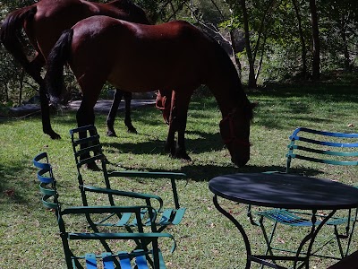 Photos of Agriani Hotel