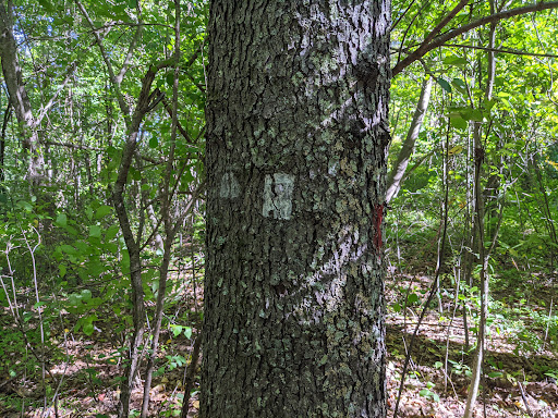 Thornapple Hill, Treasure Valley Scout Reservation
