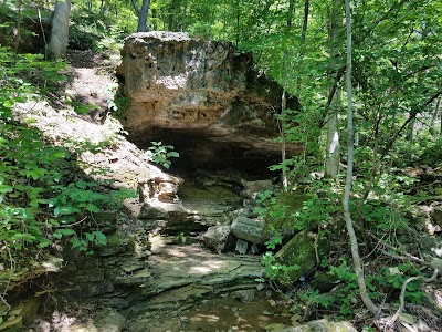 Lakeside Forest Wilderness Area