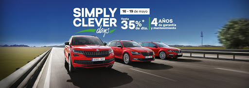 Škoda - Visual