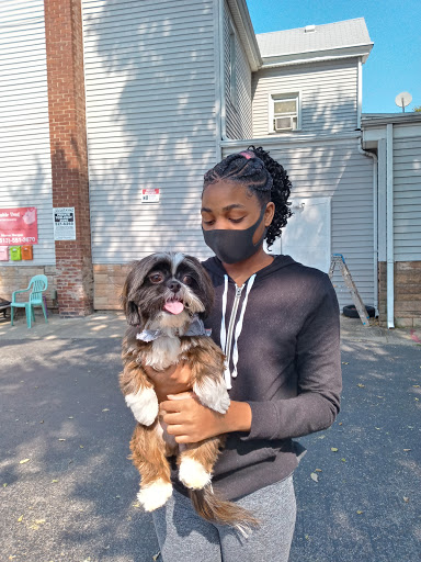 Adorable Dog