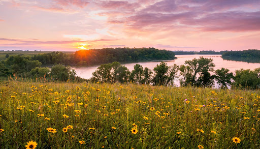 Litchfield Dental - Dentist in Litchfield MN - Thumbnail
