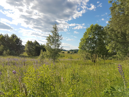 Strandgårdens Wärdshus