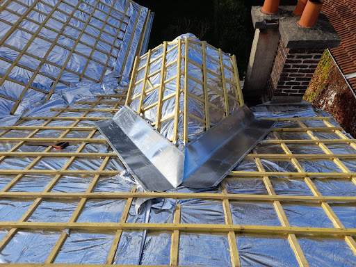 Roofer SAS Gallery - France