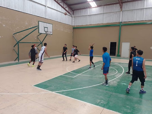 Auditorio-Gimnasio COBAED Francisco I.Madero - Thumbnail