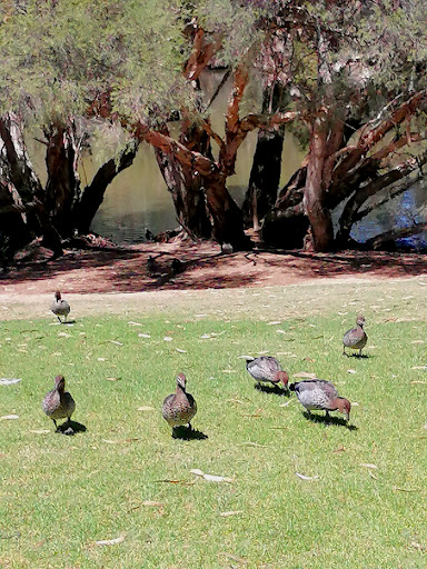 Aldinga St Reserve - Thumbnail