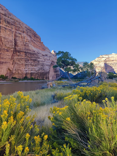 Echo Park Campground - Thumbnail