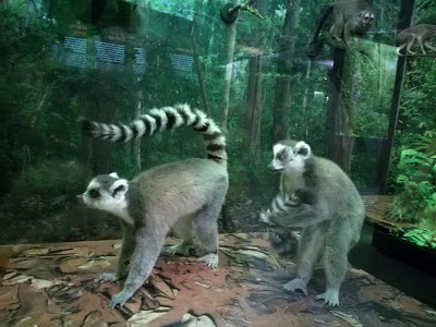 Photos of Museum of Natural Sciences