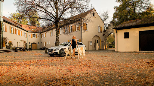 Höflacher Kfz.-Meisterbetrieb GmbH speziell für Mercedes-Fahrzeuge - Thumbnail