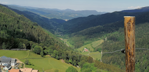 Photo n°2 de La Graine Johé SARL à Le Bonhomme (Ferme)