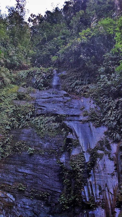 Photos of Poddo Jhiri