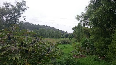 Photos of Iglesia Park