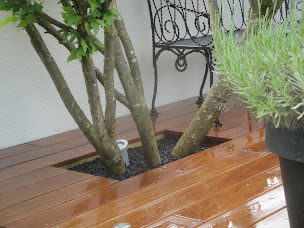 Photo n°21 de ALPAJE - PAYSAGISTE ET AMÉNAGEMENTS EXTÉRIEURS à Lyon (Architecte paysagiste)