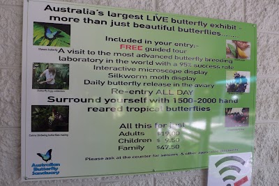 Photos of Australian Butterfly Sanctuary