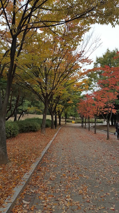 Photos of 정발공원