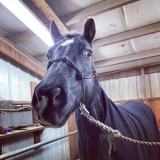 Pleasant Valley Stables & Event Center - Thumbnail
