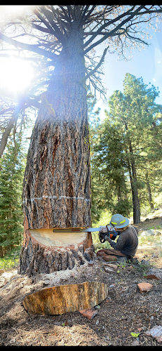 Incline Tree Care