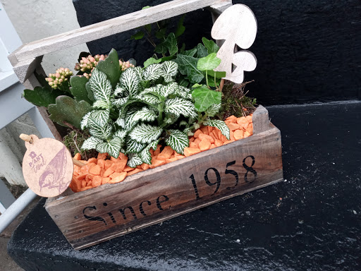 The Flower Shack Of Snaith - Thumbnail