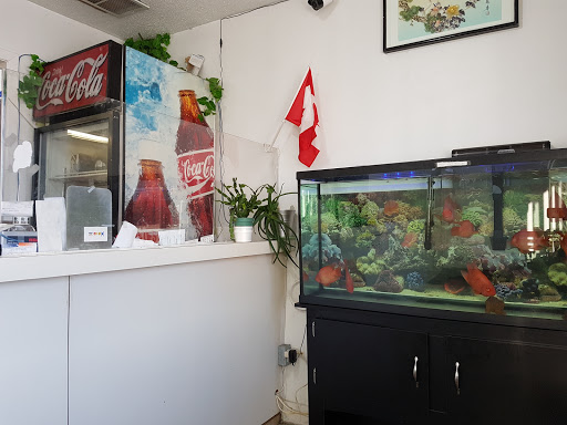 Willie's Chinese Food - Thumbnail
