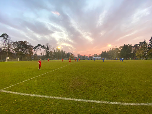 FV 08 Hockenheim e.V. - Fußballverein