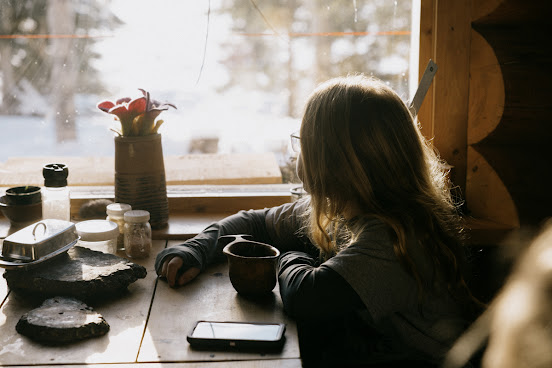 Alaska Homestead Adventures by null