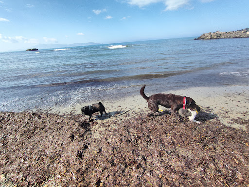 Spiaggia della Puntata - Thumbnail