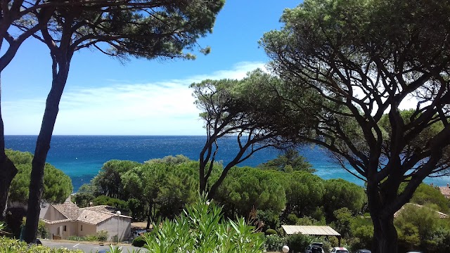 Plage Des Elephants