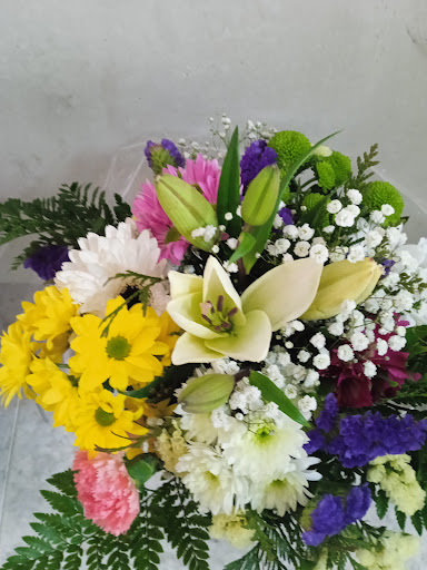 Floristería, regalos, complementos y decoración Maria