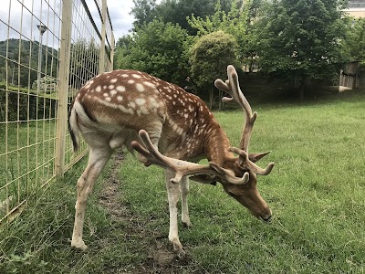 Zoological Park of Tirana