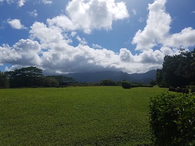 Blue Hawaiian Helicopters