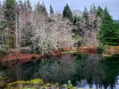 Willapa National Wildlife Refuge