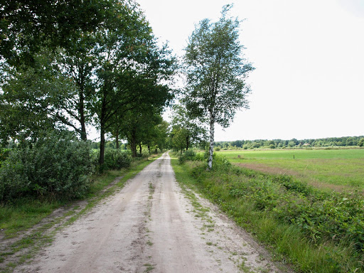 Verloren Beek - Thumbnail