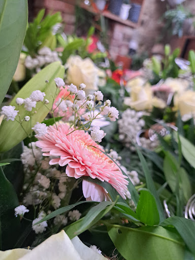 Blumen von Marion Jörg - Visual