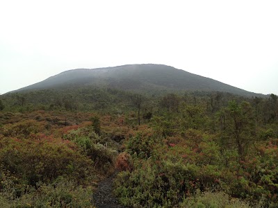 Photos of Okapi Wildlife Reserve