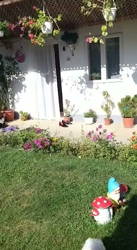 TUDOSE MARIANA